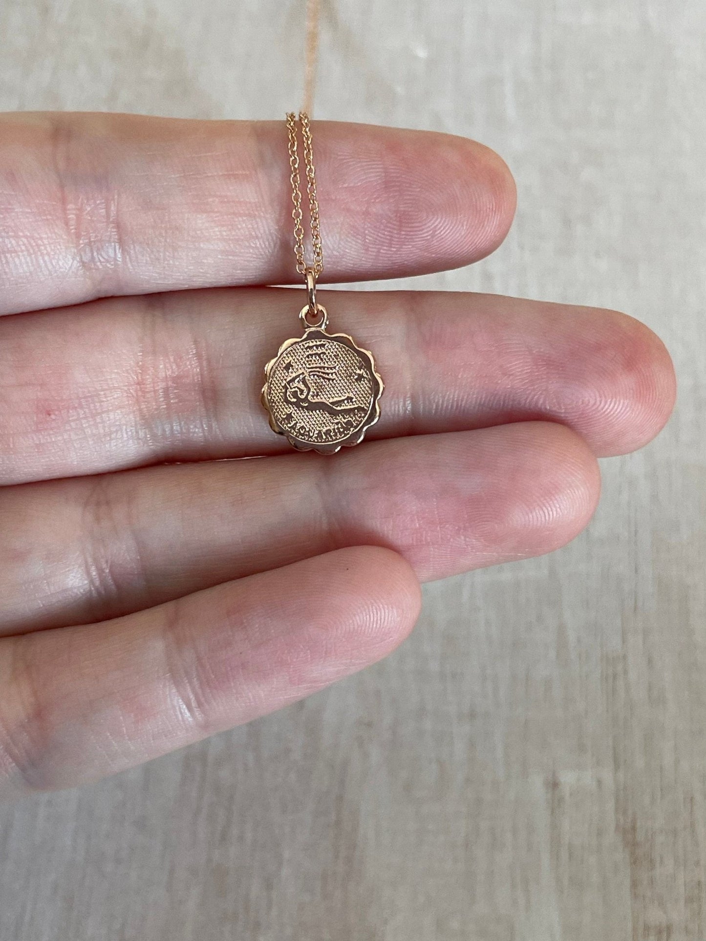 Rose Gold Zodiac Necklace - earthandelm