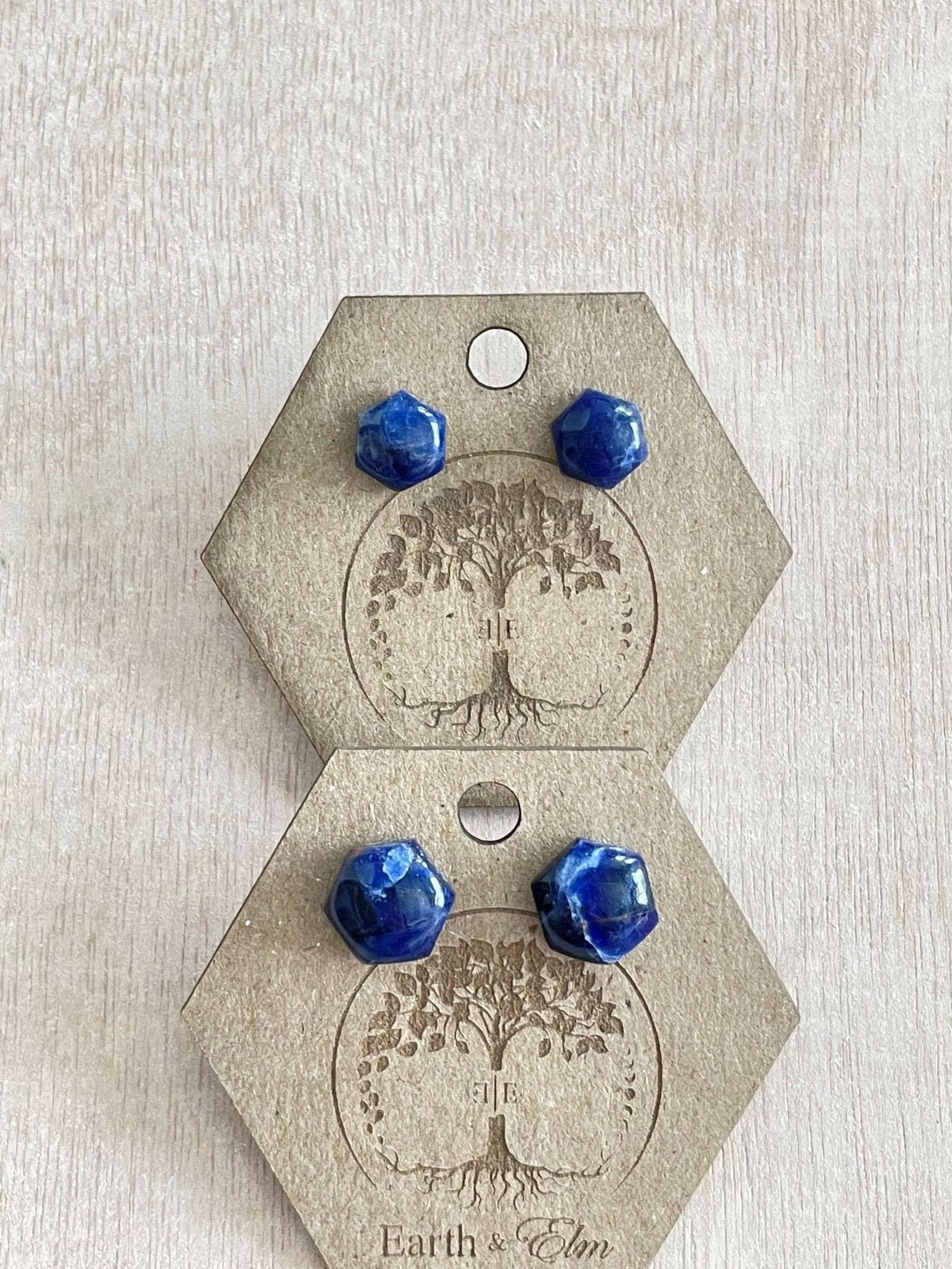 Sodalite Hexagon Studs - earthandelm
