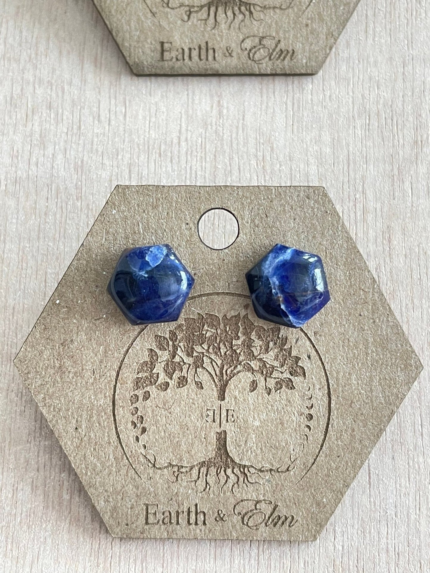 Sodalite Hexagon Studs - earthandelm