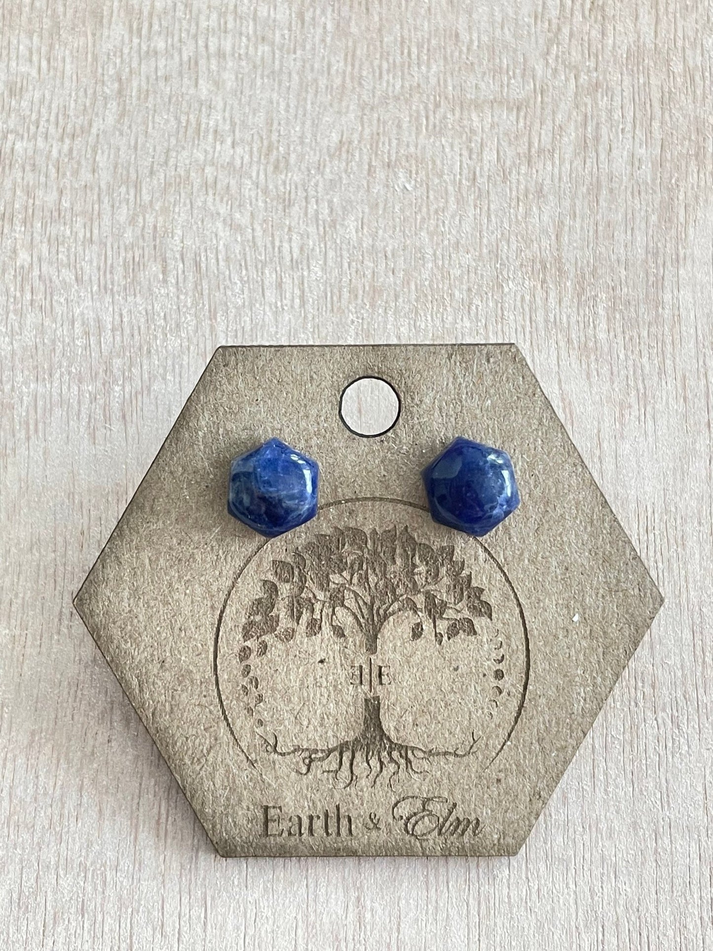 Sodalite Hexagon Studs - earthandelm