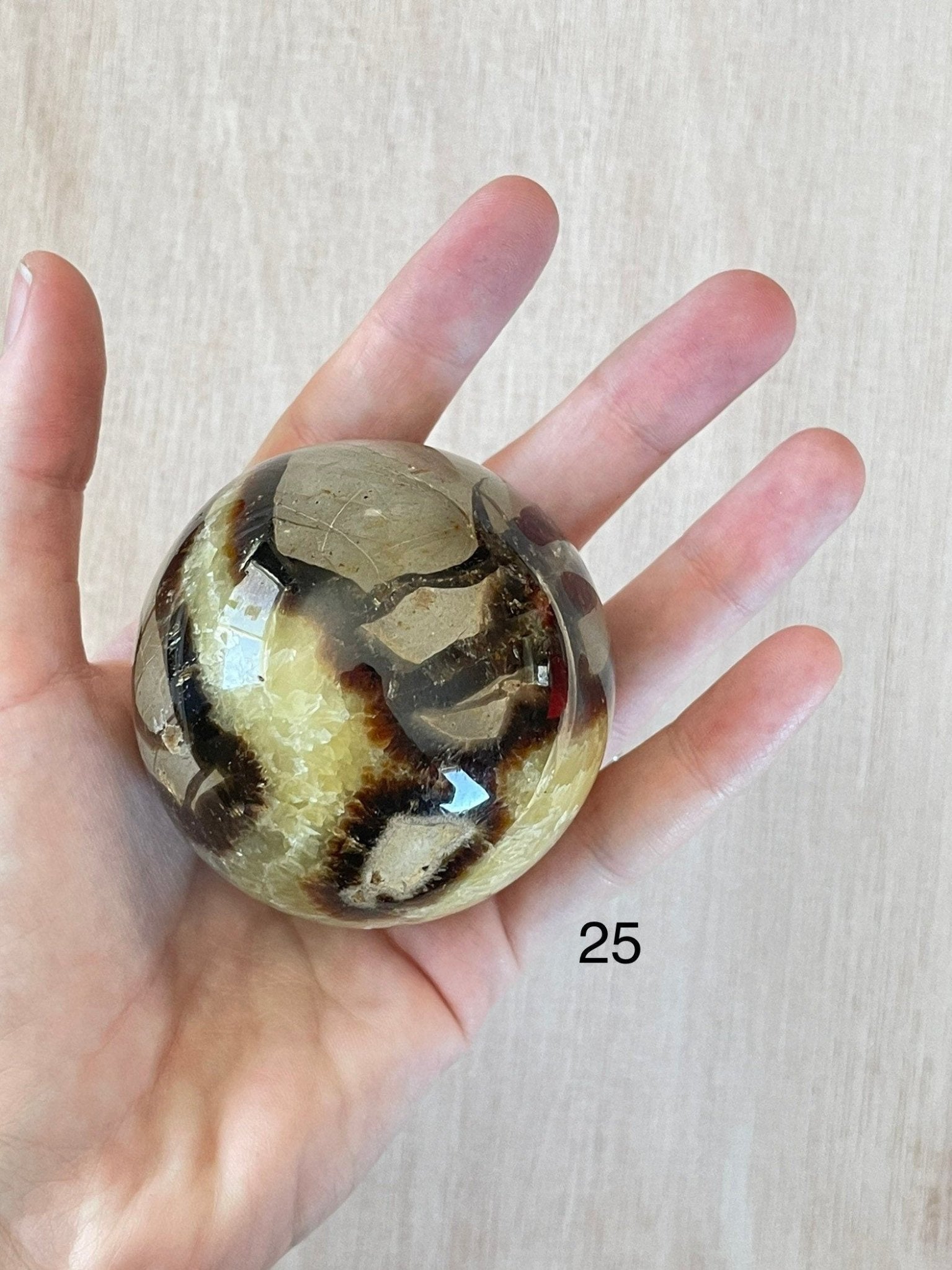 Septarian Sphere | Septarian Crystal | Crystal Ball | Crystal Sphere | Dragon Egg Sphere | 64mm | 60mm | 59mm - earthandelm