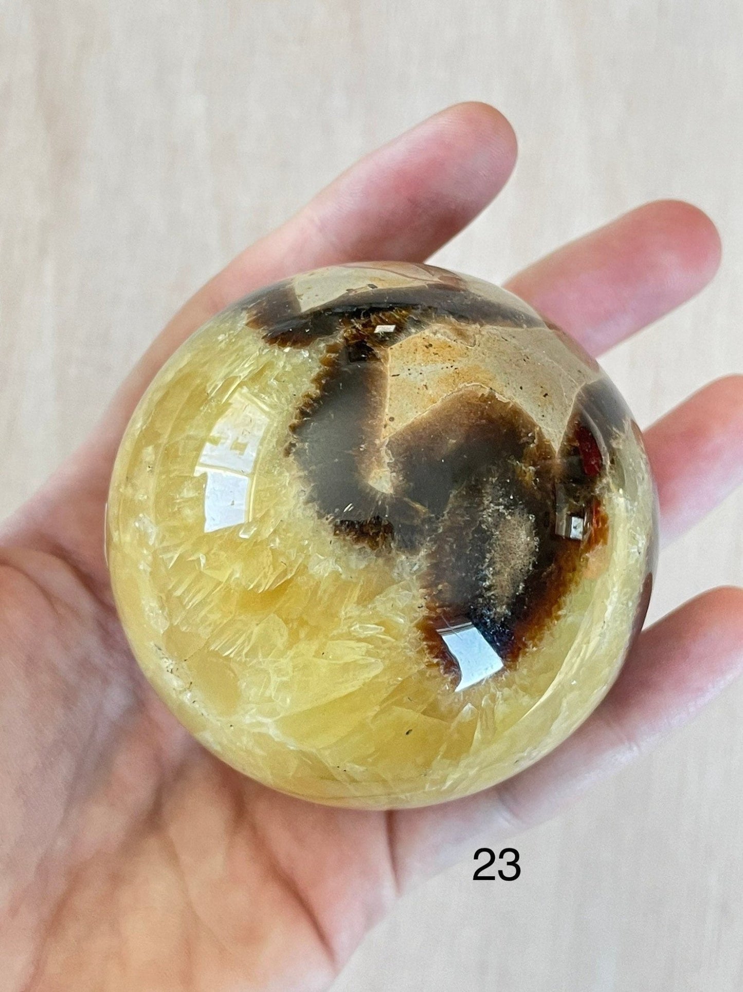 Septarian Sphere | Septarian Crystal | Crystal Ball | Crystal Sphere | Dragon Egg Sphere | 64mm | 60mm | 59mm - earthandelm