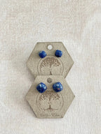 Sodalite Cushion Studs - earthandelm