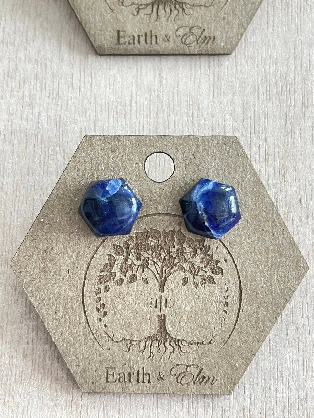 Sodalite Hexagon Studs - earthandelm