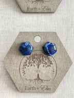 Sodalite Hexagon Studs - earthandelm