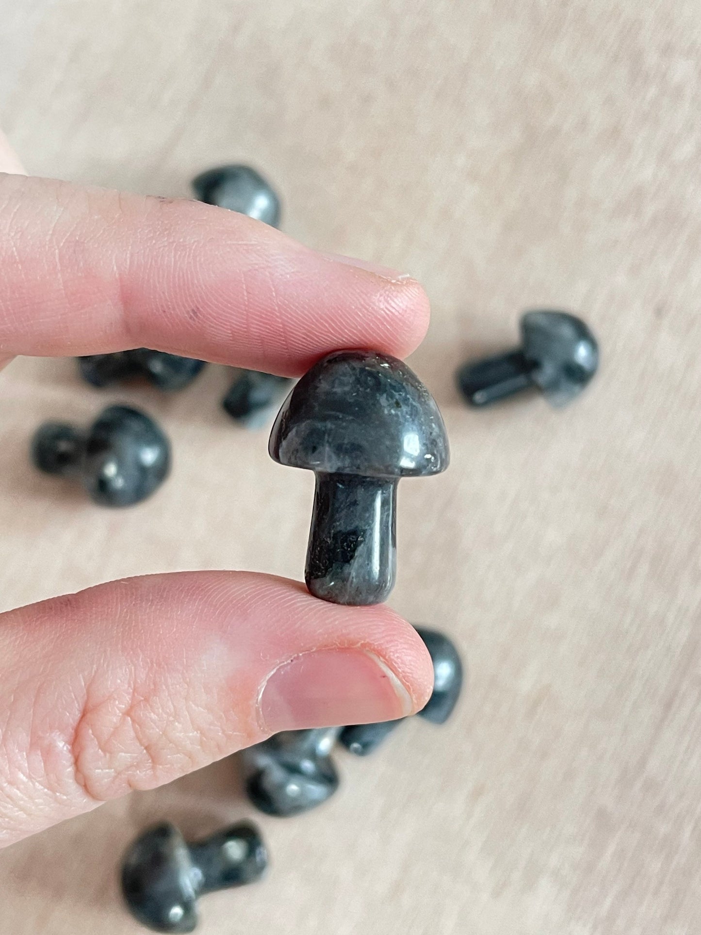 Mini Larvikite Mushroom 