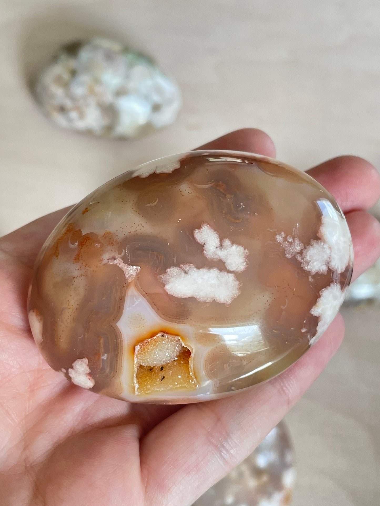 Large Flower Agate Palm Stone 