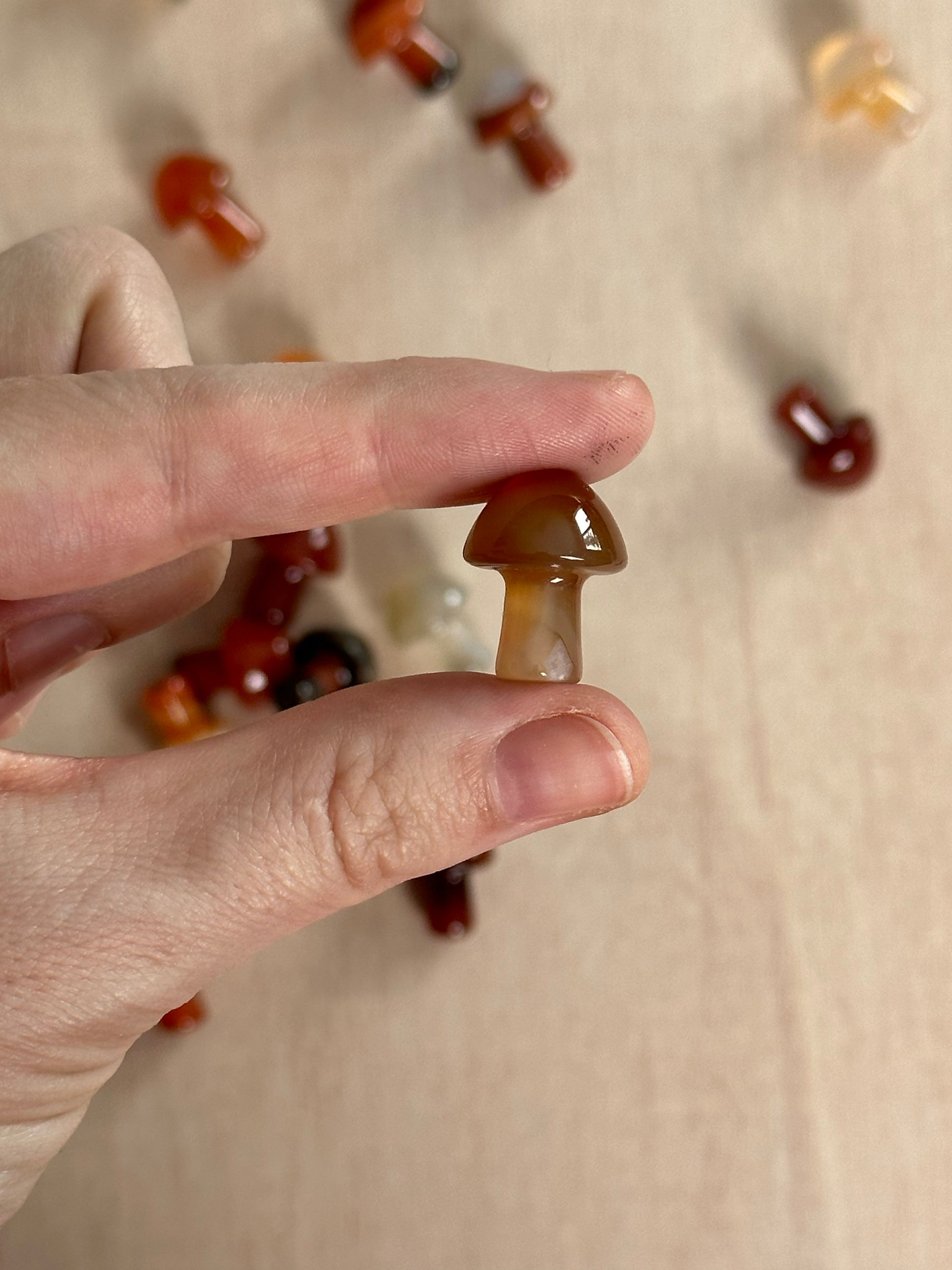 Carved Carnelian Mushroom | Polished Gemstone Carving