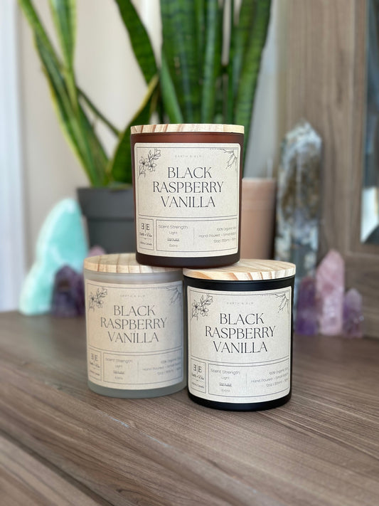 Black Raspberry Vanilla Hidden Jewelry Candle | 12oz Soy Candle | Surprise Earring | Mystery Stud Earring | Luxury Candle
