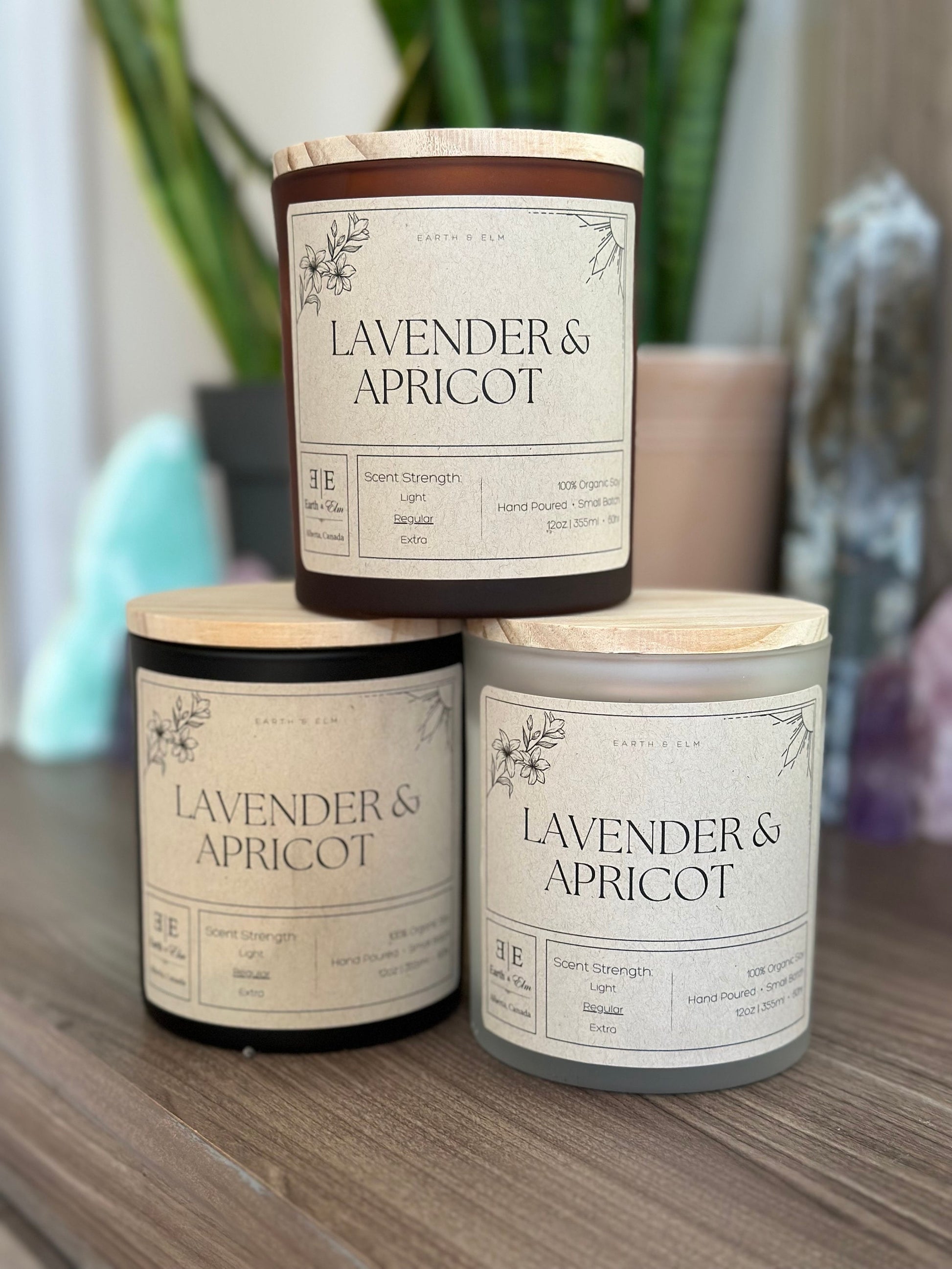 Lavender & Apricot Hidden Jewelry Candle | 12oz Soy Candle | Surprise Earring | Mystery Stud Earring | Luxury Candle
