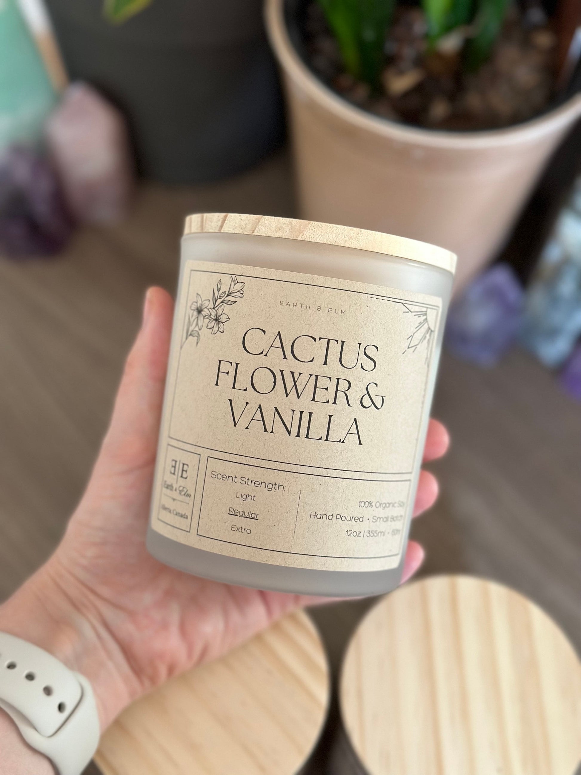 Cactus Flower & Vanilla Hidden Jewelry Candle | 12oz Soy Candle | Surprise Earring | Mystery Stud Earring | Luxury Candle